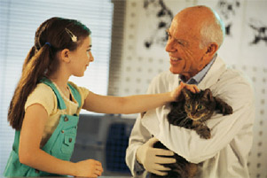 veterinarian holding a cat, little girl petting the cat