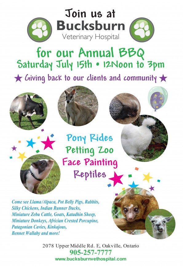 flyer for our annual bbq